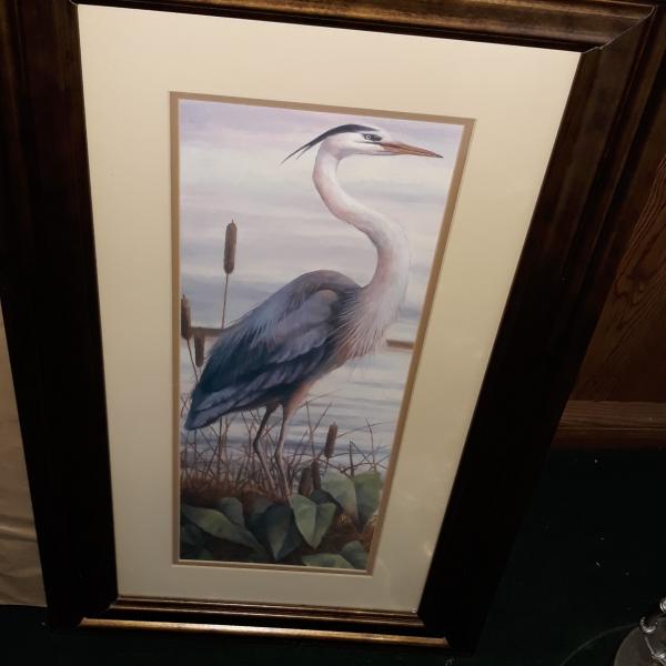 Photo of 2 heron pictures