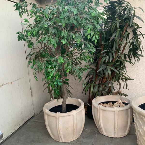 Photo of Large plant pots