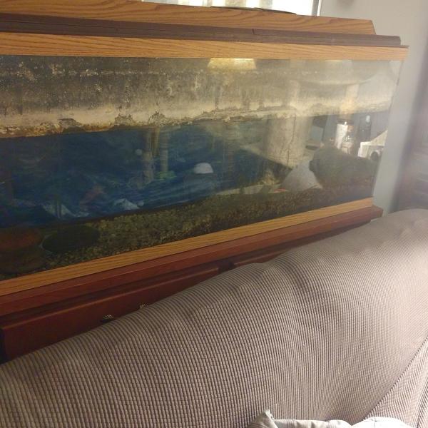 Photo of Storage unit and large fish tank with stand