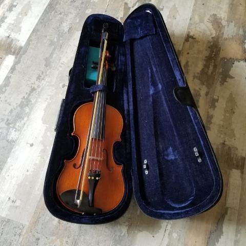 Photo of Viola with case