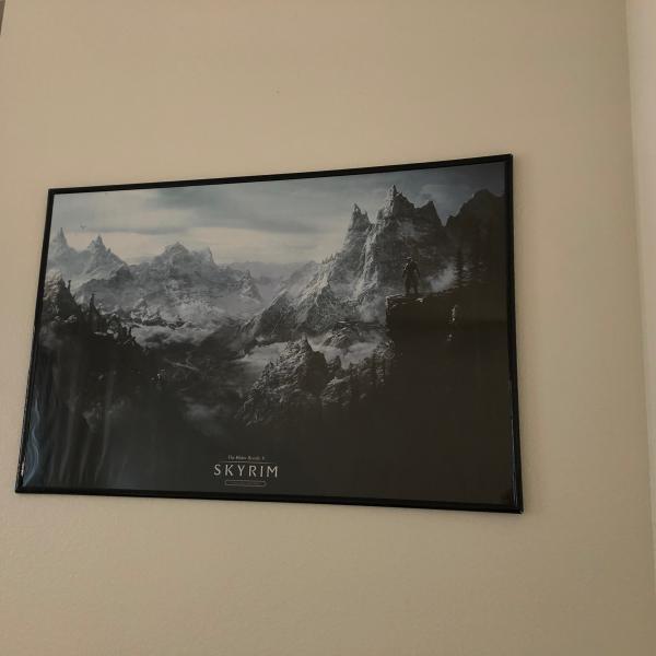 Photo of Framed Skyrim art