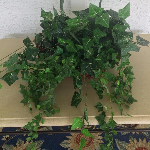 Photo of Silk Plant Ivy Arrangement