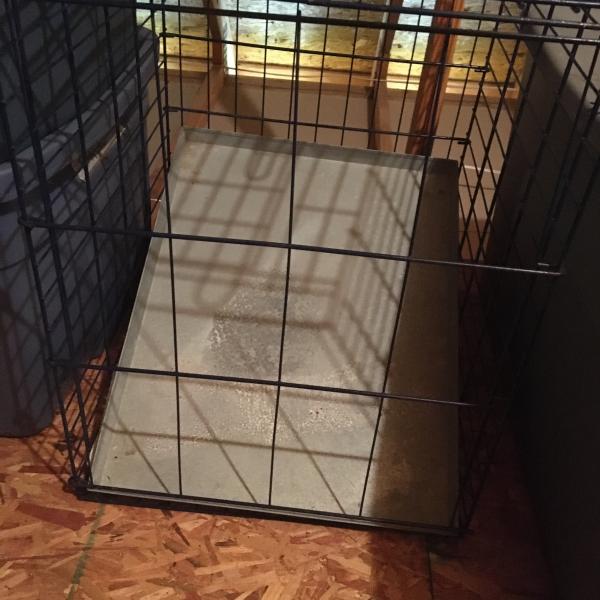 Photo of Dog Cage