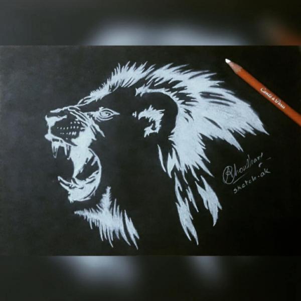Photo of lion face sketch