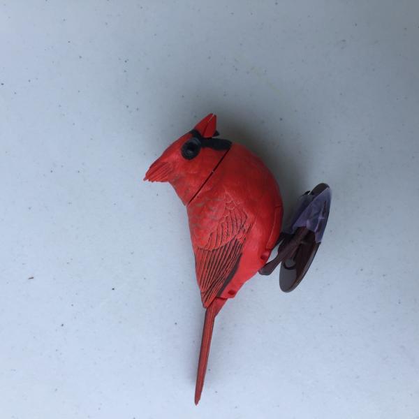 Photo of Cardinal bird toy