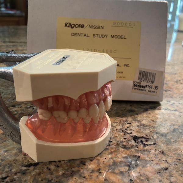 Photo of Kilgore Dental Model