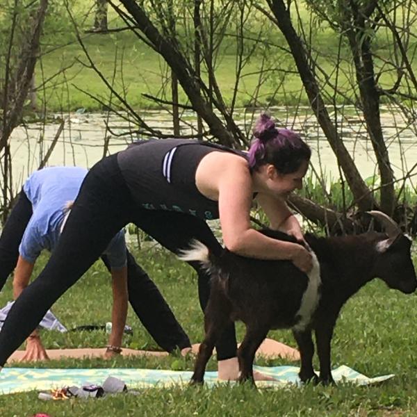 Photo of Goat Yoga Experience 
