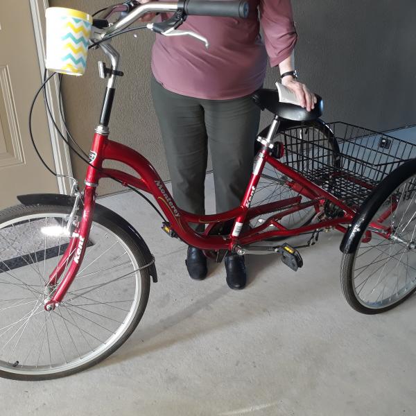 Photo of Adult red tricycle with 5 gears, with basket 