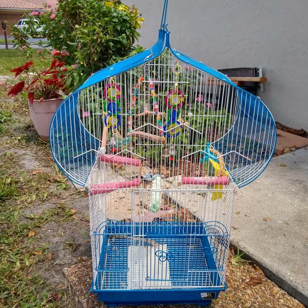 Photo of GREAT BIRD CAGE FOR A GREAT BIRD!