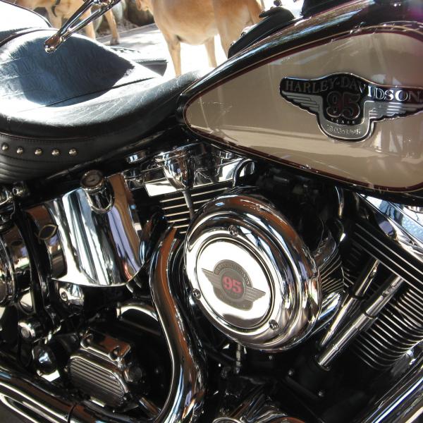 Photo of 1998 Harley Davidson estate sale