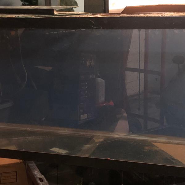Photo of 55 Gallon Glass Aquarium with blue background and glass lids