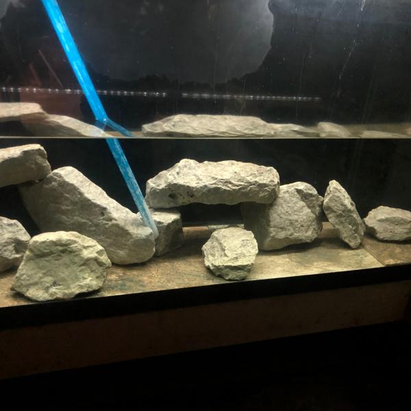 Photo of 55 Gallon Drilled Glass Aquarium & Glass lids with a black background