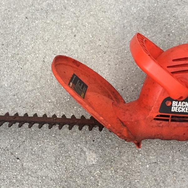 Photo of Hedge Cutter