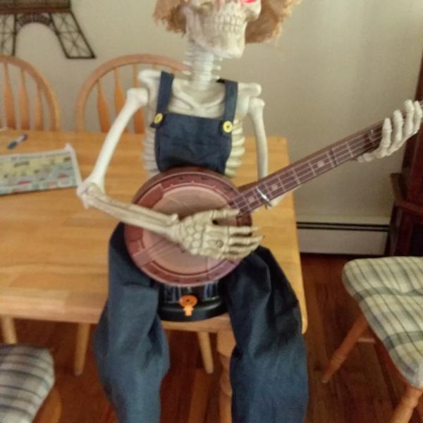 Photo of Banjo Playing skeleton