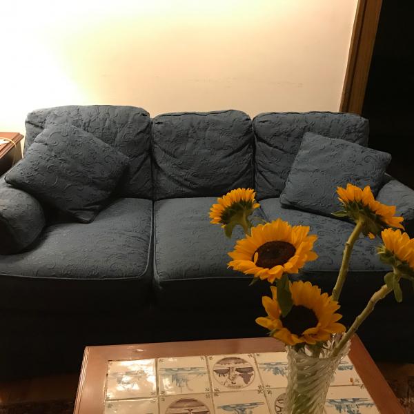 Photo of Upholstered sofa