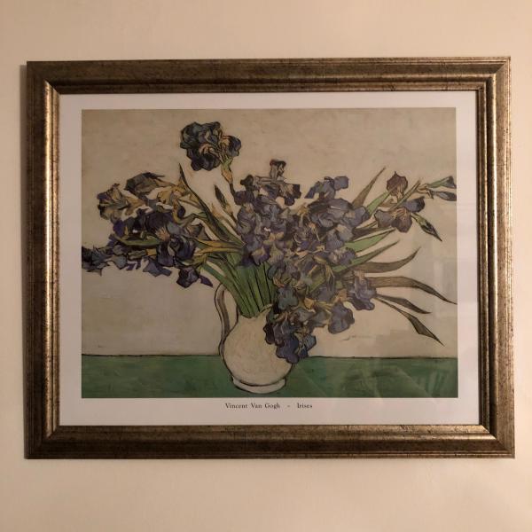 Photo of Van Gogh Irises Print