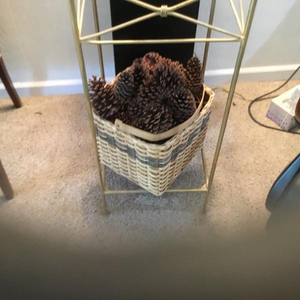 Photo of Vintage Big Basket Filled with PineCone