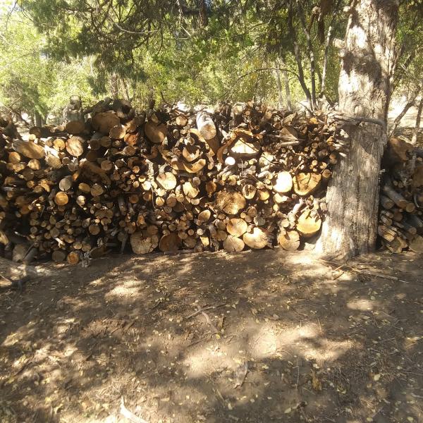Photo of CUT FIRE WOOD READY TO PICK UP CLL( 970) 442-1307 IGNACIO,CO 81137