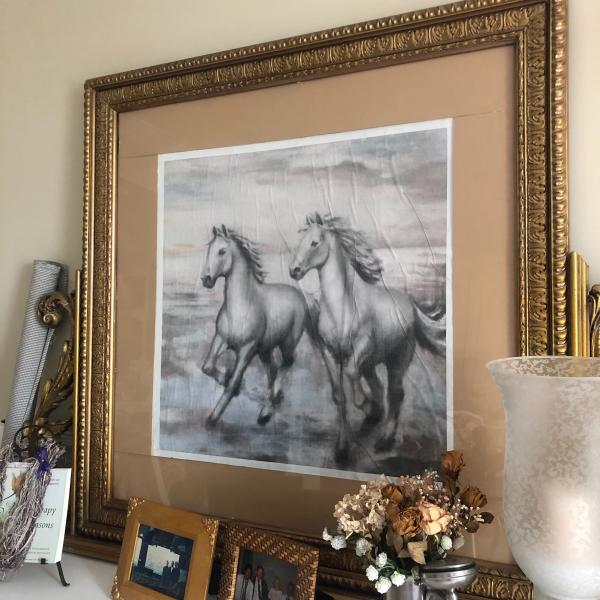 Photo of horse picture and frame