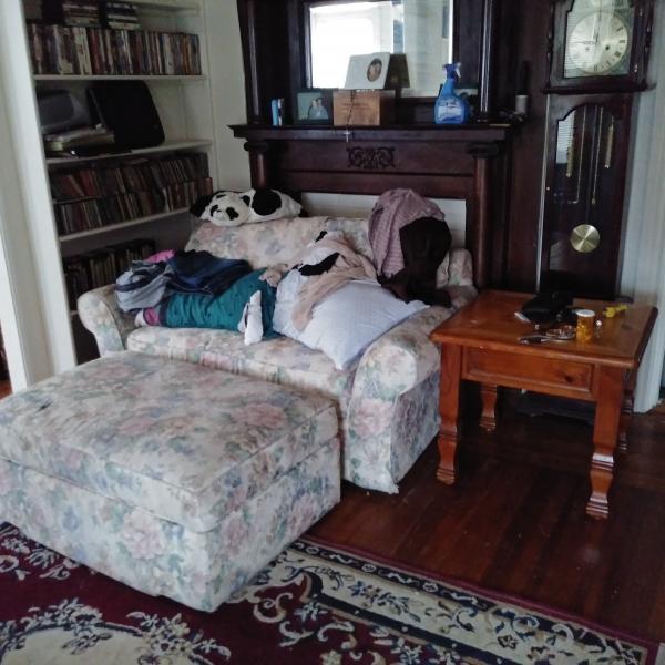 Photo of Loveseat/bed