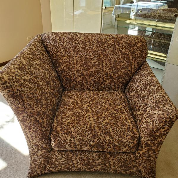 Photo of Living Room Chair