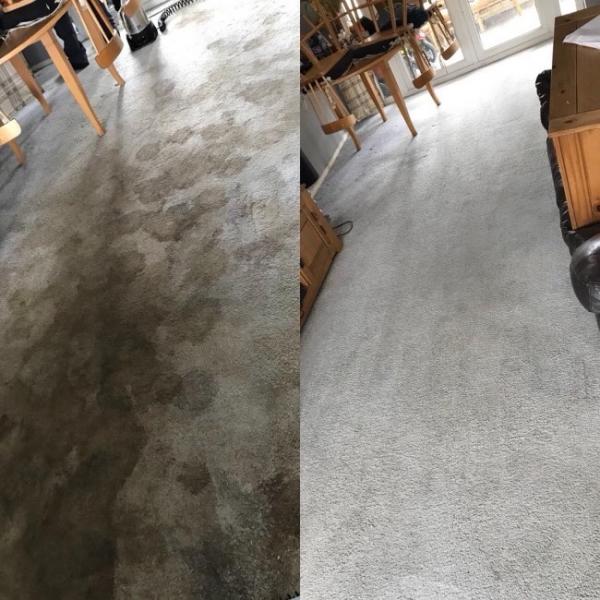 Photo of SAVE MONEY & TIME CLEANING & DRYING YOUR HOME’S CARPET AT THE SAME TIME