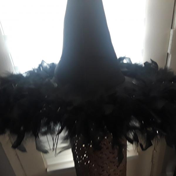 Photo of Feather  Witch Hat