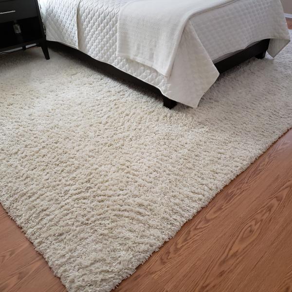 Photo of Shag rug