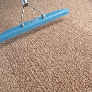 Photo of PROFESSIONAL CARPET CLEANING NOT WAITING ON THE CARPET TO BE DRY 