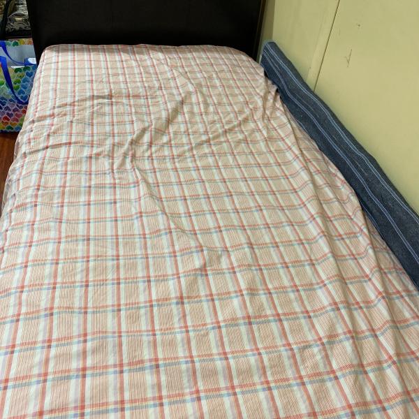 Photo of Single bed 