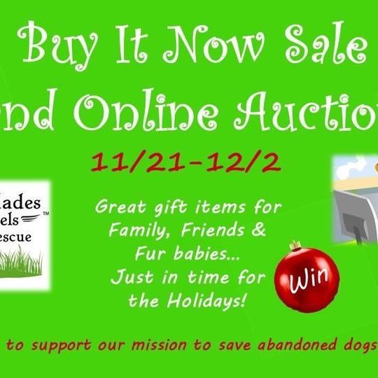 Photo of Charity Buy It Now & Auction Online Event