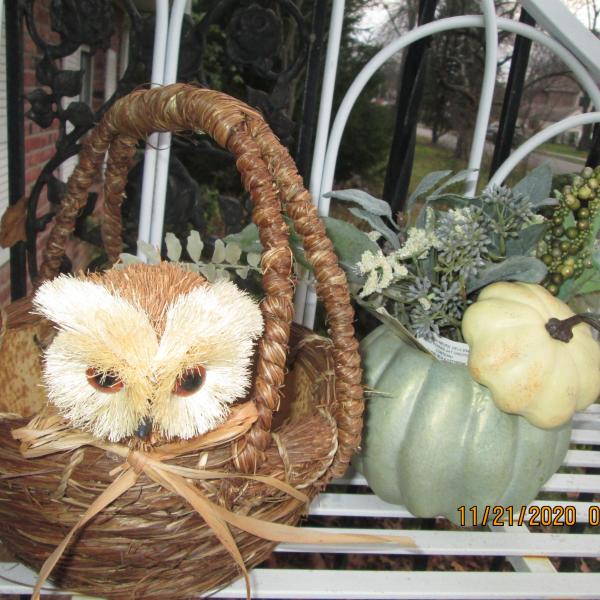 Photo of Thanksgiving Owl Basket and Fall Decor