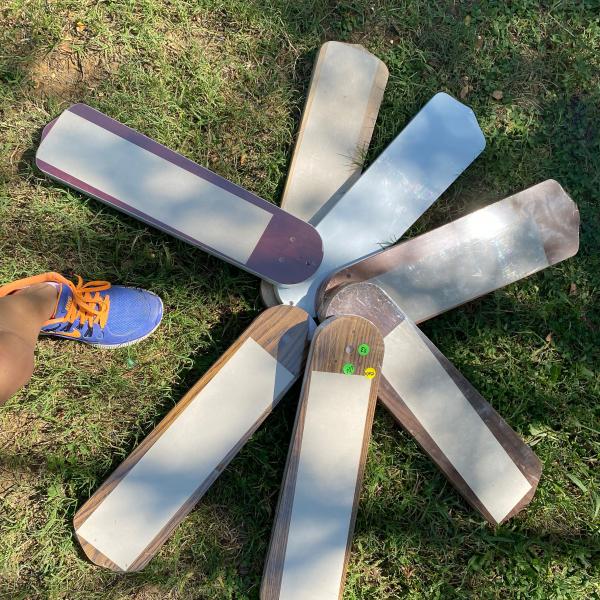 Photo of Celing fan blades