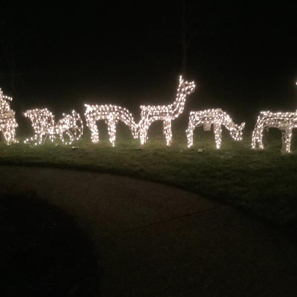 Photo of Illuminated  Santa Claus,  his sleigh and reindeers 