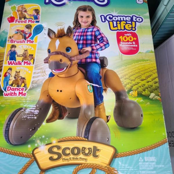 Photo of SCOUT RIDEAMALS NEW IN BOX SOLD OUT 