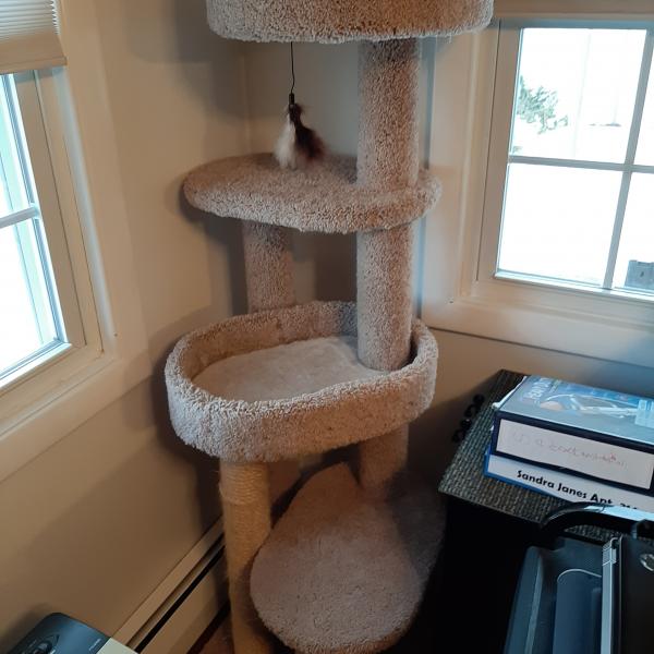 Photo of cat stand