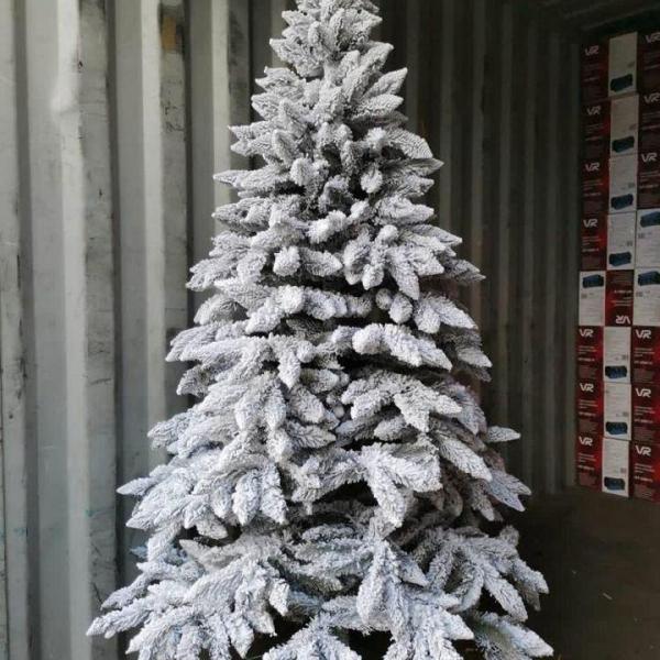 Photo of A Christmas tree