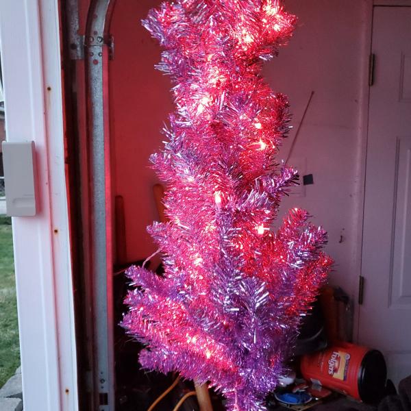 Photo of Pink Christmas 🎄