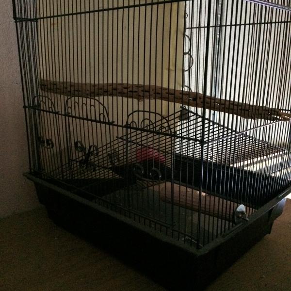 Photo of Bird cage in perfect condition with great accessories