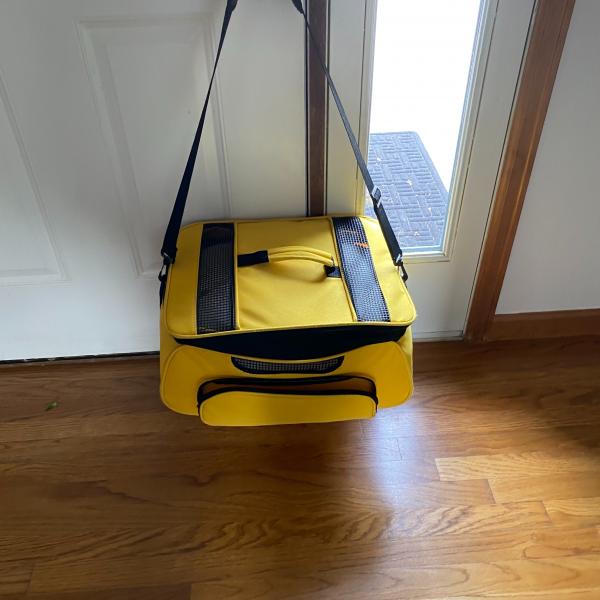 Photo of Pet carriers Travel bag with strap and Hard plastic crate w pad