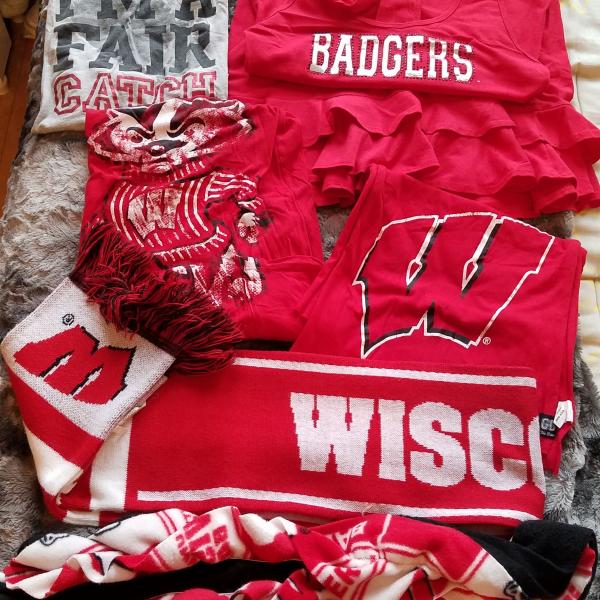 Photo of Badger gear