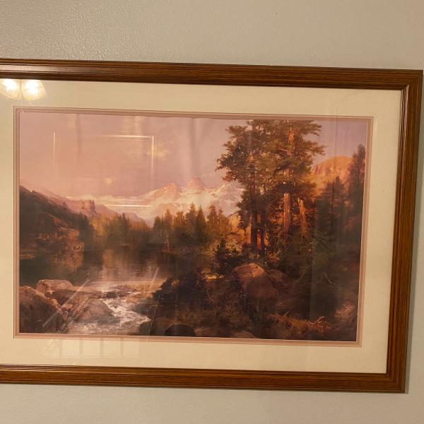 Photo of Framed Nature print 