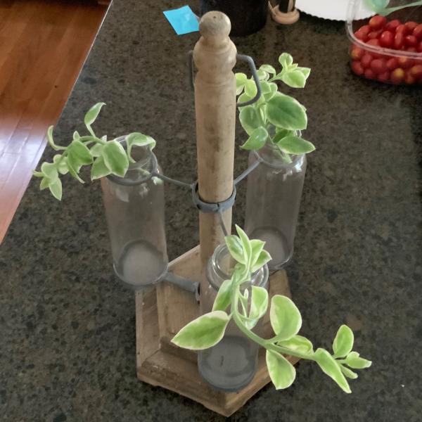 Photo of  Large 3 vase in wood and metal holder. Comes with cutting 
