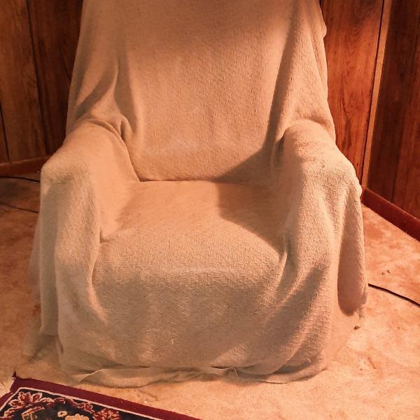 Photo of Reclining lounge chair