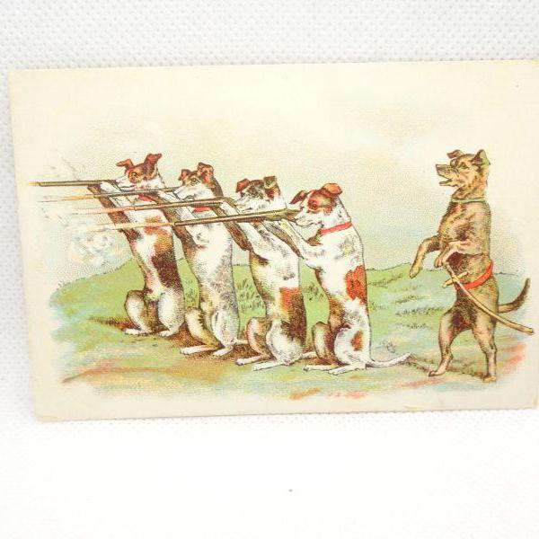 Photo of Victorian Trade Card, Dogs lined up at Shooting Range - LOL 