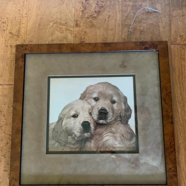 Photo of “Good as Gold” framed, signed, numbered by John Weiss Golden Retriever pups