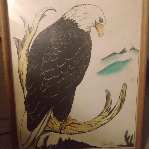 Photo of Hand colored eagle