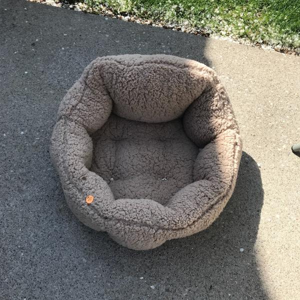 Photo of Small pet bed new