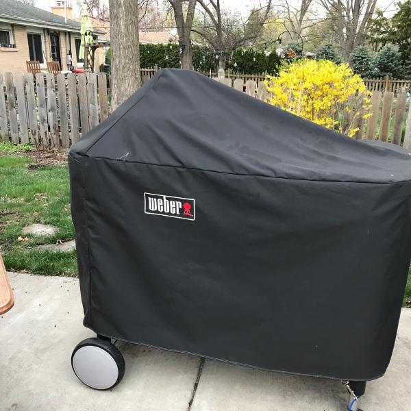 Photo of Weber PerformerPremium Charcoal Grill with Propane Starter
