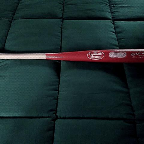 Photo of Louisville  Slugger bat